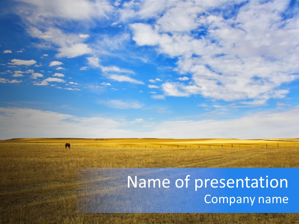 Sky Prairie Wheat PowerPoint Template