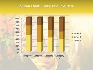 Beautiful Pure Single PowerPoint Template