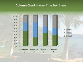 Landscape Brazil Mirim PowerPoint Template