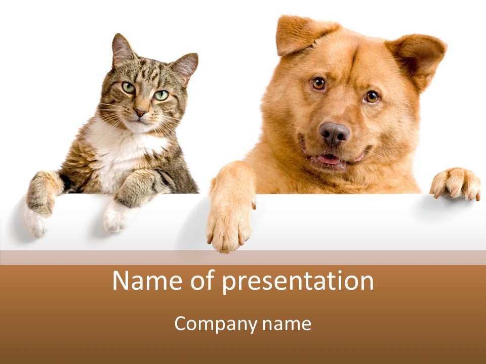 Mutt Banner Mixed PowerPoint Template