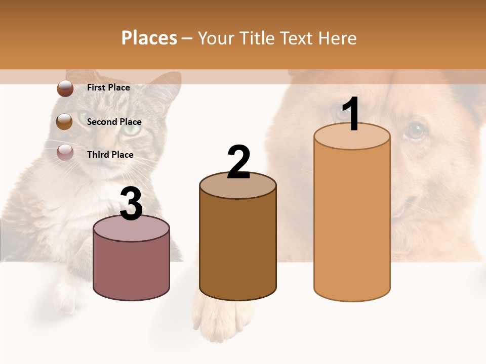 Mutt Banner Mixed PowerPoint Template