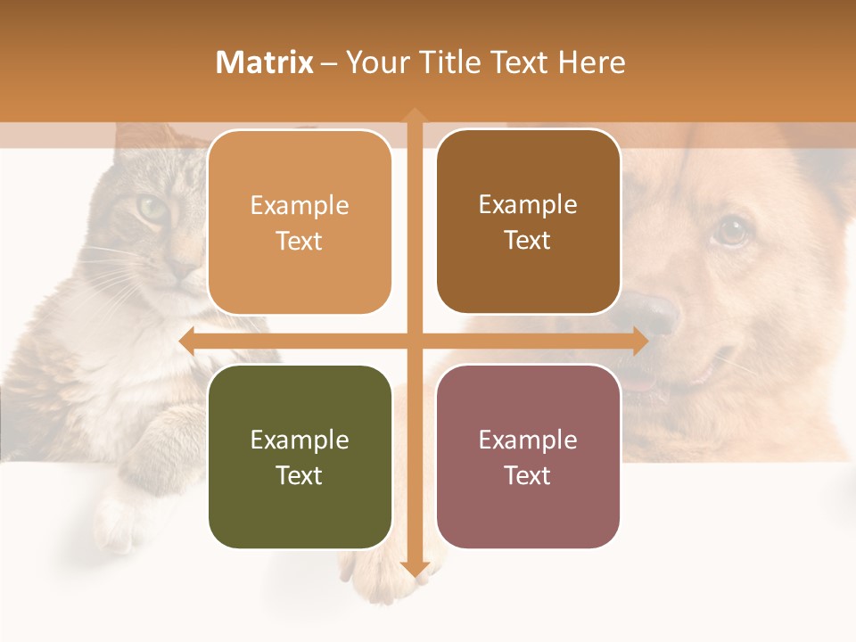 Mutt Banner Mixed PowerPoint Template