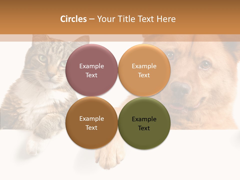 Mutt Banner Mixed PowerPoint Template
