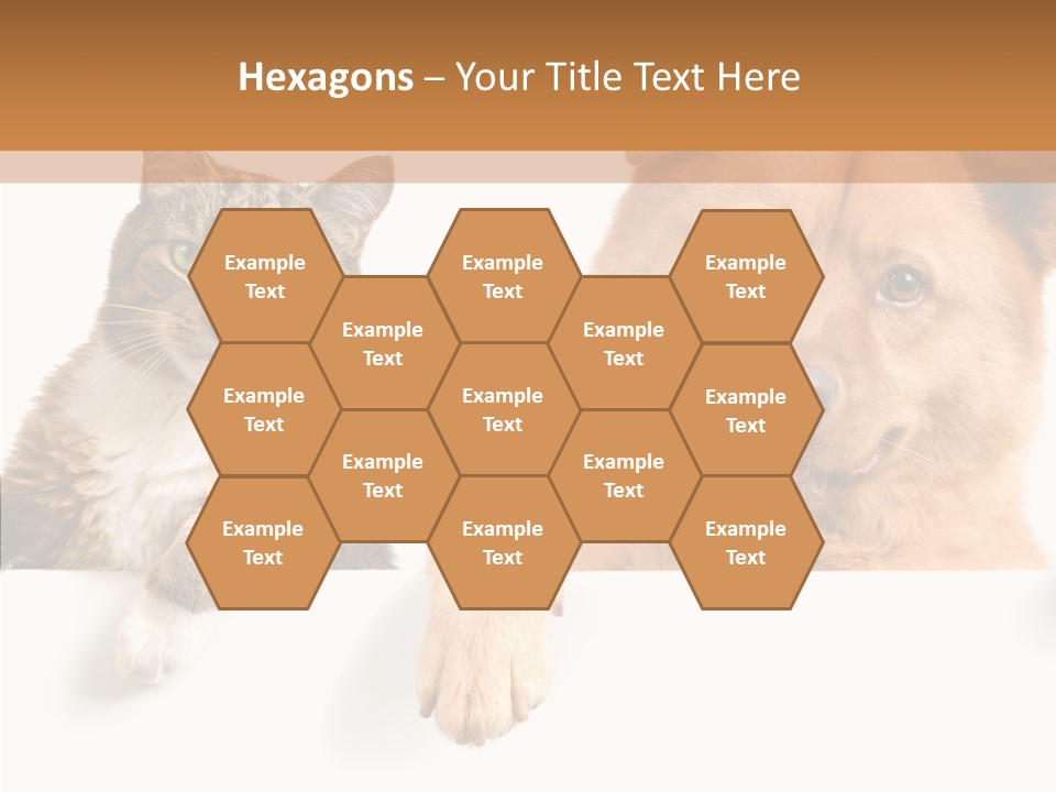 Mutt Banner Mixed PowerPoint Template