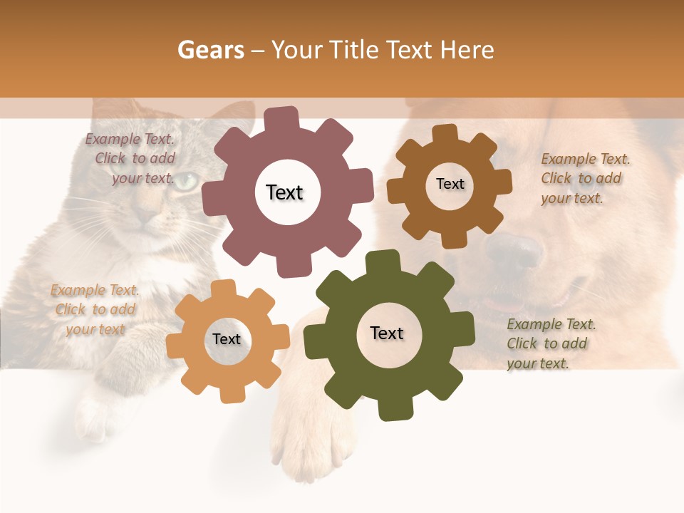 Mutt Banner Mixed PowerPoint Template