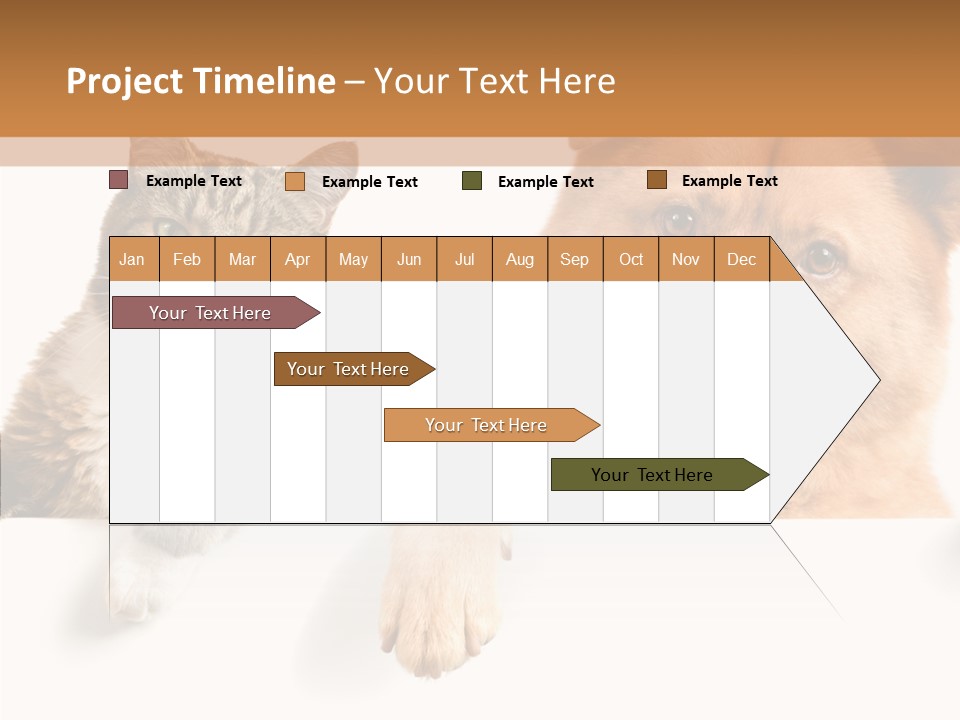 Mutt Banner Mixed PowerPoint Template