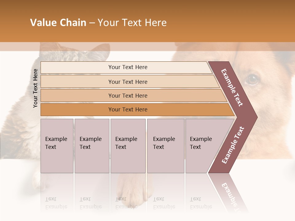 Mutt Banner Mixed PowerPoint Template