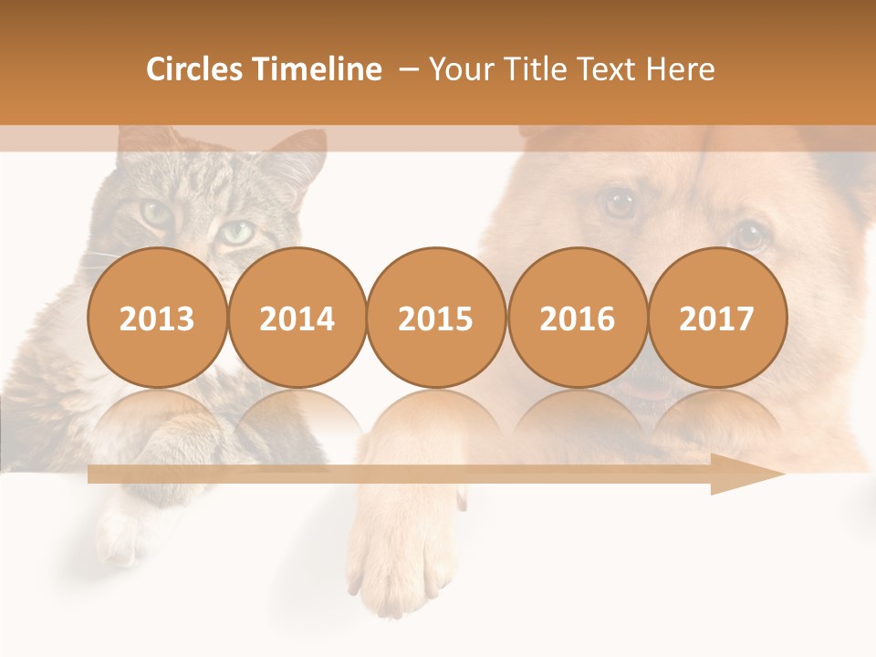 Mutt Banner Mixed PowerPoint Template