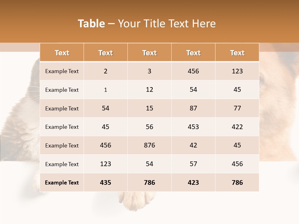 Mutt Banner Mixed PowerPoint Template