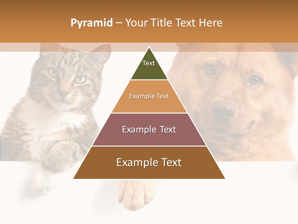 Mutt Banner Mixed PowerPoint Template