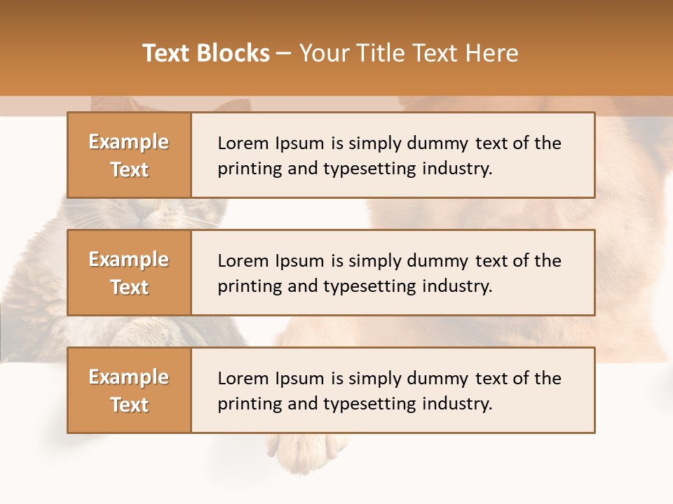 Mutt Banner Mixed PowerPoint Template