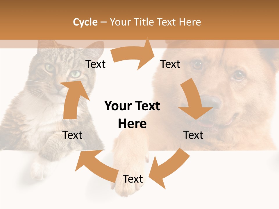 Mutt Banner Mixed PowerPoint Template