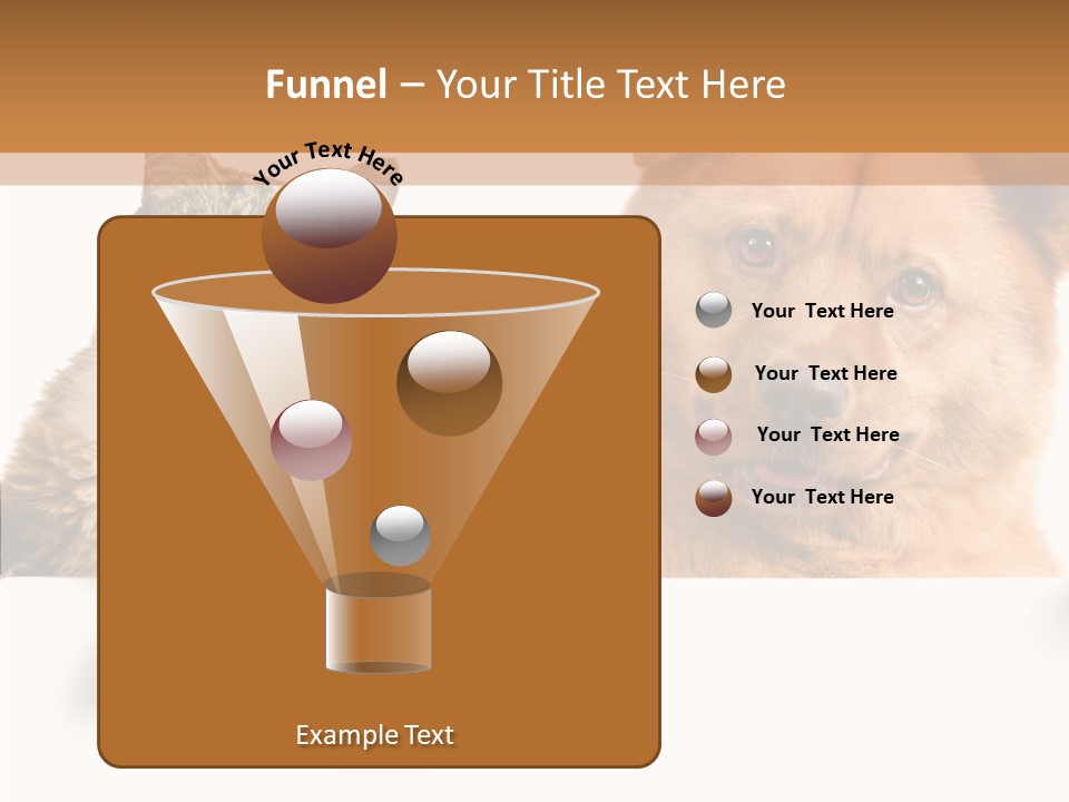 Mutt Banner Mixed PowerPoint Template