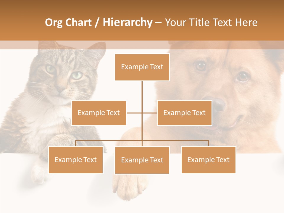 Mutt Banner Mixed PowerPoint Template