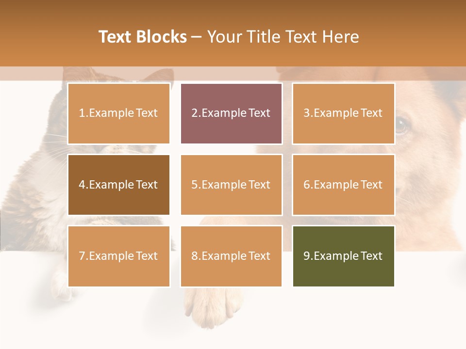 Mutt Banner Mixed PowerPoint Template