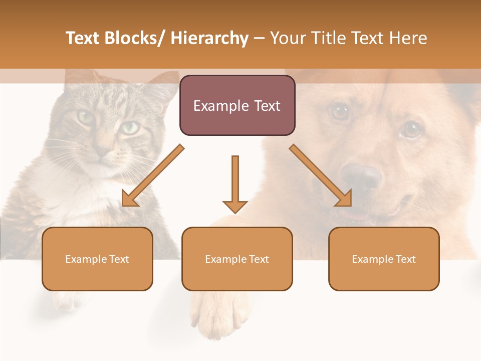 Mutt Banner Mixed PowerPoint Template