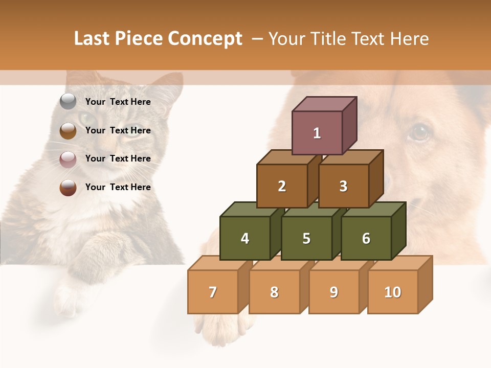 Mutt Banner Mixed PowerPoint Template