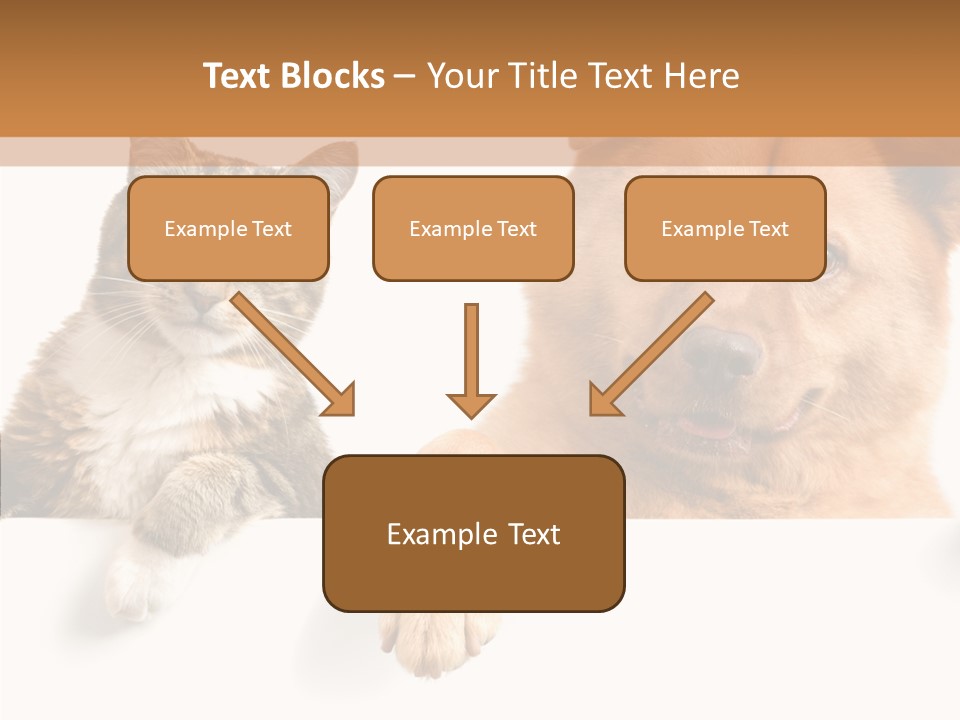 Mutt Banner Mixed PowerPoint Template