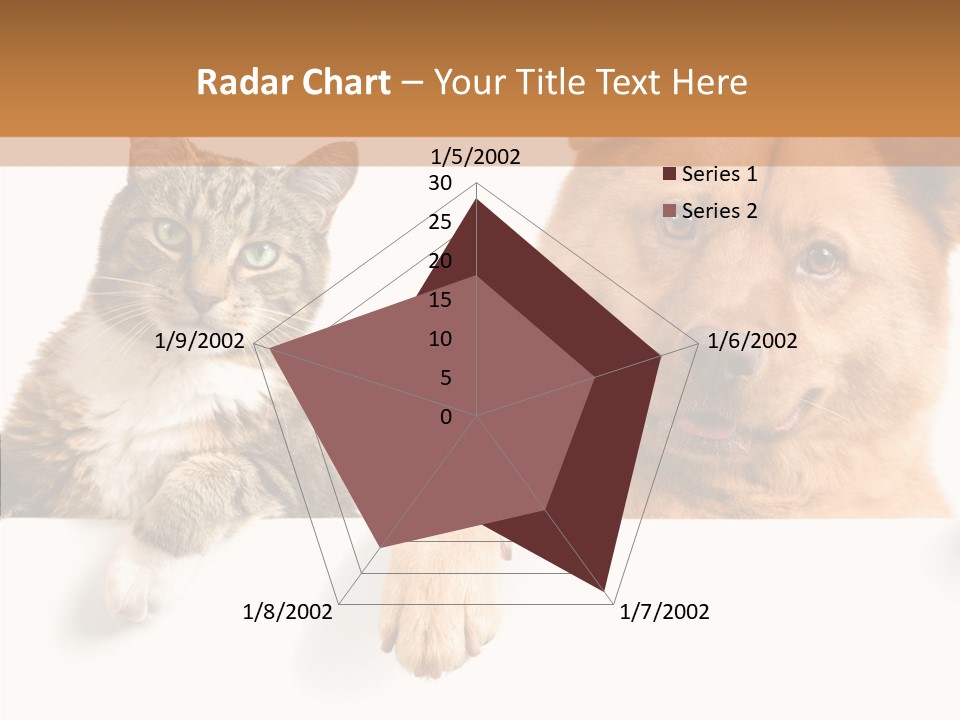 Mutt Banner Mixed PowerPoint Template