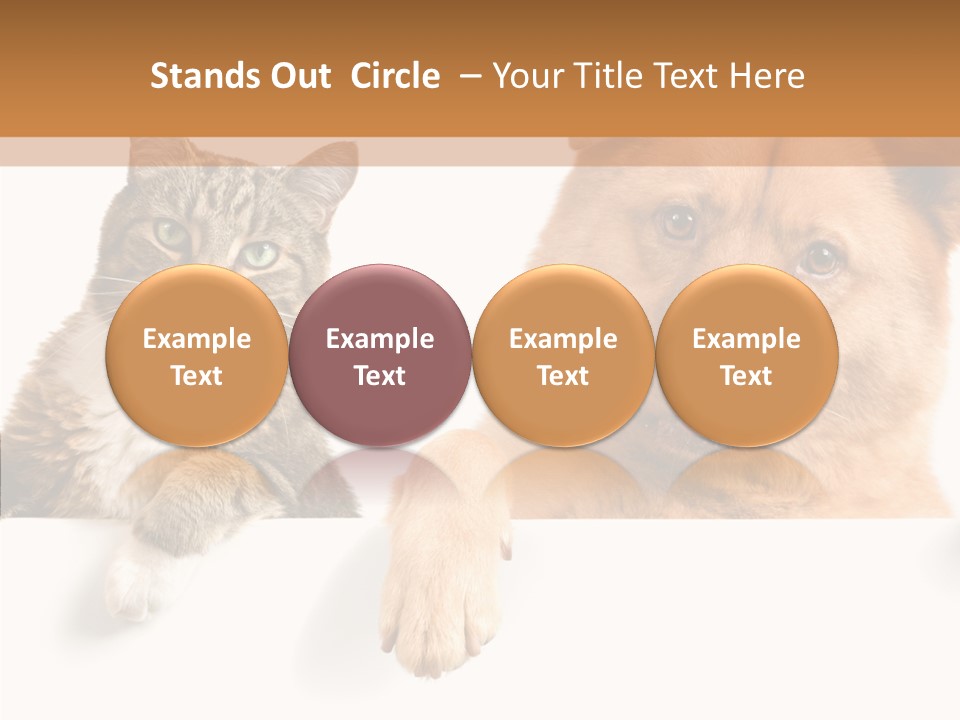 Mutt Banner Mixed PowerPoint Template