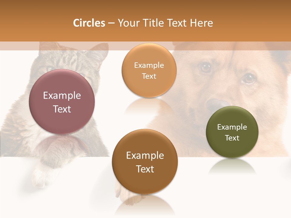 Mutt Banner Mixed PowerPoint Template