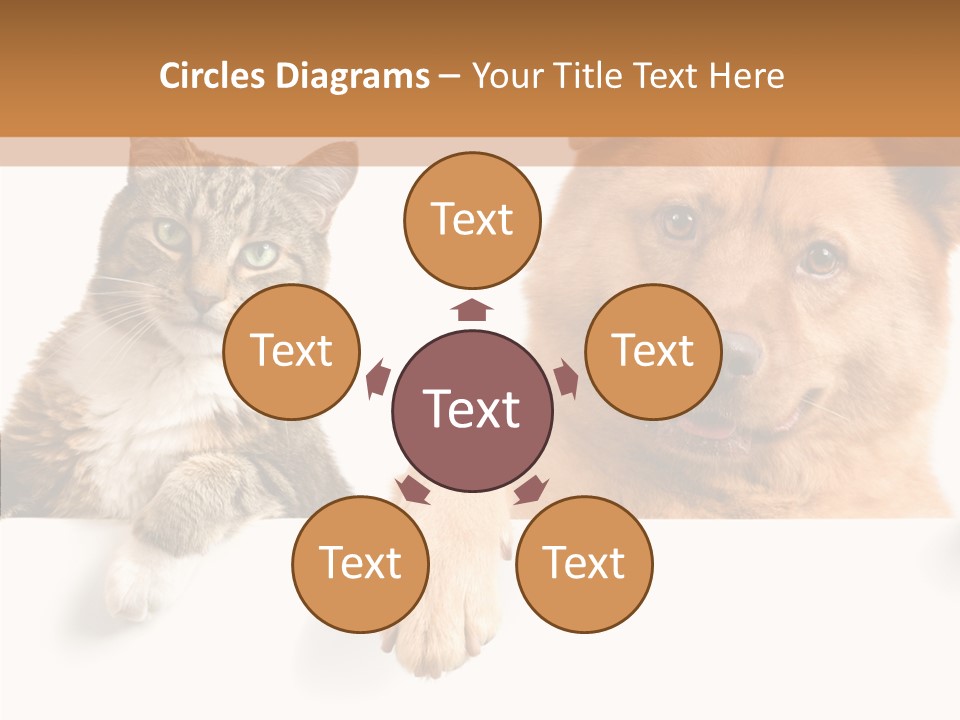 Mutt Banner Mixed PowerPoint Template