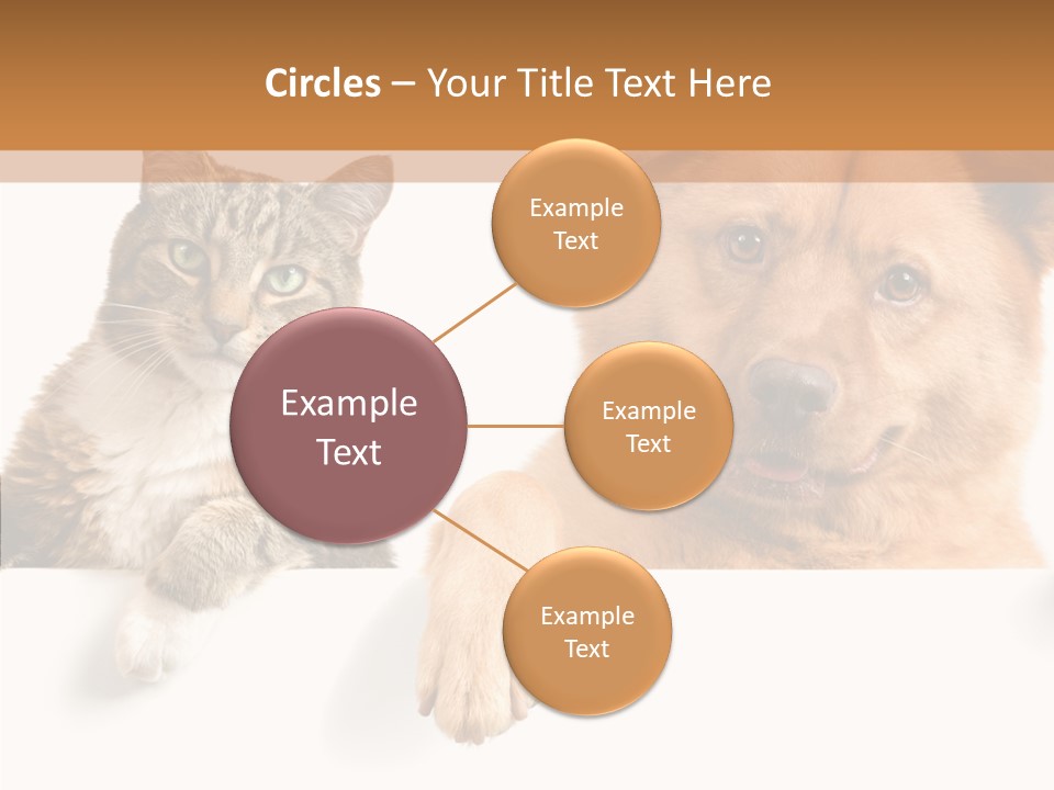 Mutt Banner Mixed PowerPoint Template