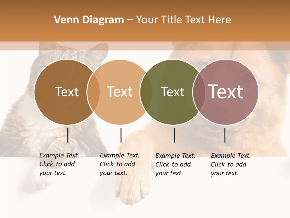 Mutt Banner Mixed PowerPoint Template