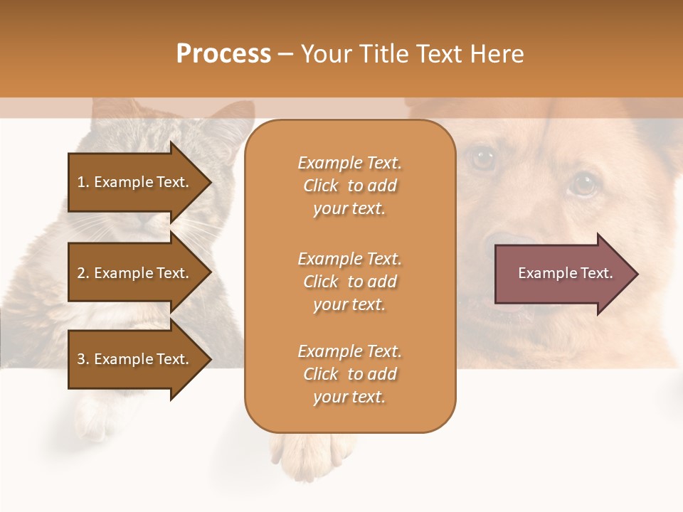 Mutt Banner Mixed PowerPoint Template