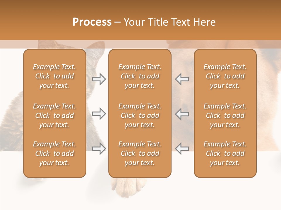 Mutt Banner Mixed PowerPoint Template