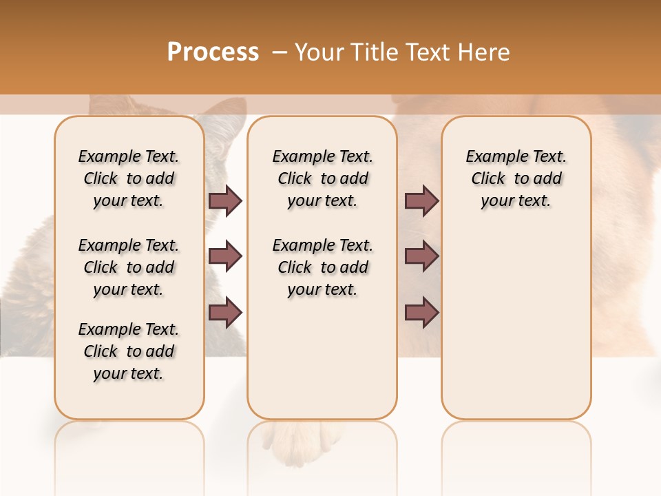 Mutt Banner Mixed PowerPoint Template