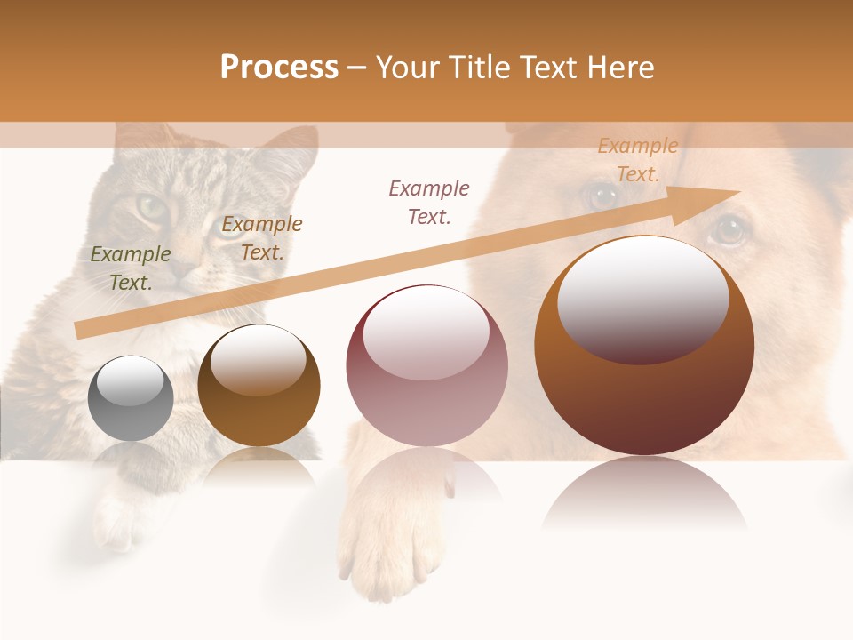 Mutt Banner Mixed PowerPoint Template