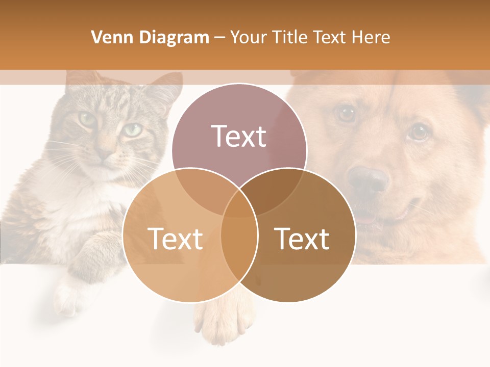 Mutt Banner Mixed PowerPoint Template