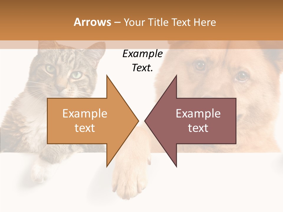 Mutt Banner Mixed PowerPoint Template