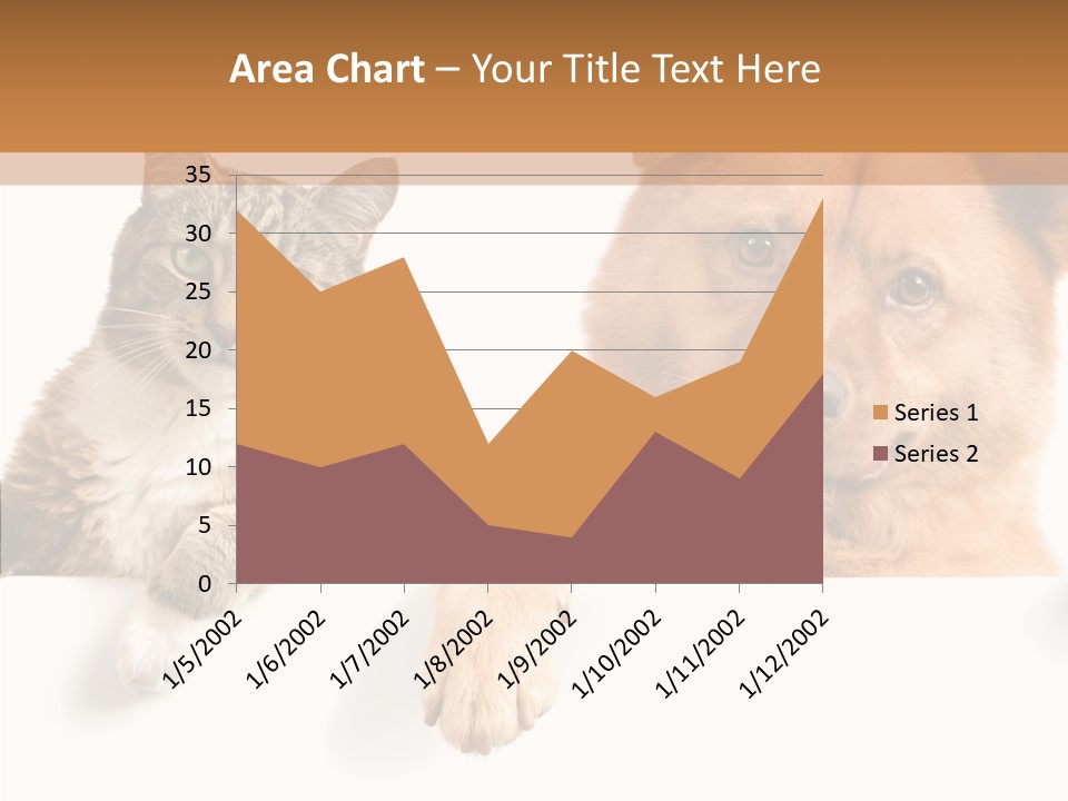 Mutt Banner Mixed PowerPoint Template