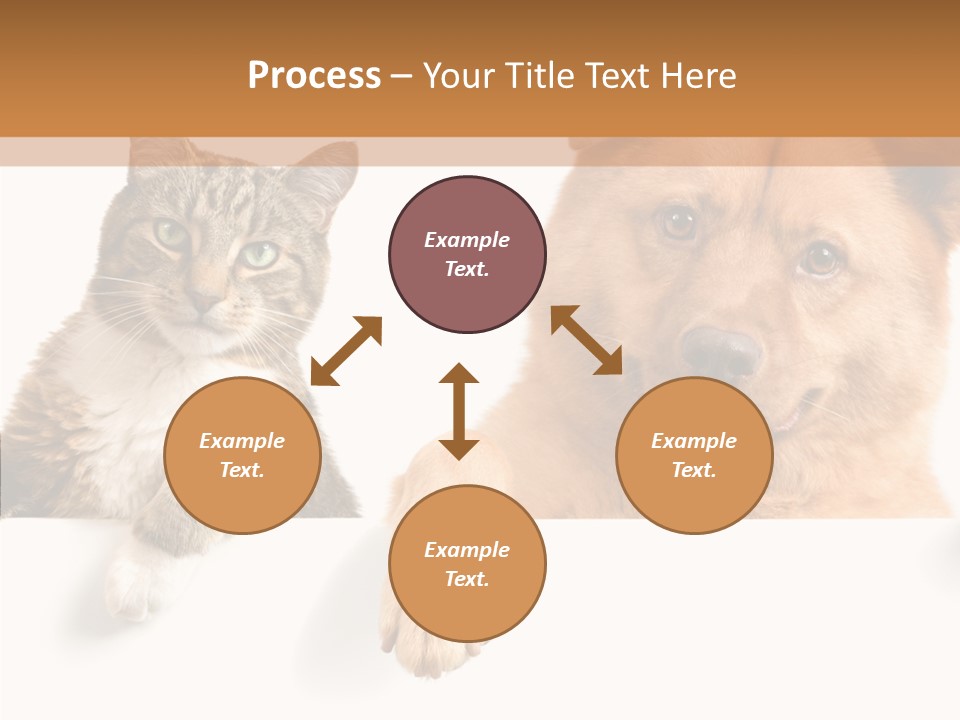 Mutt Banner Mixed PowerPoint Template