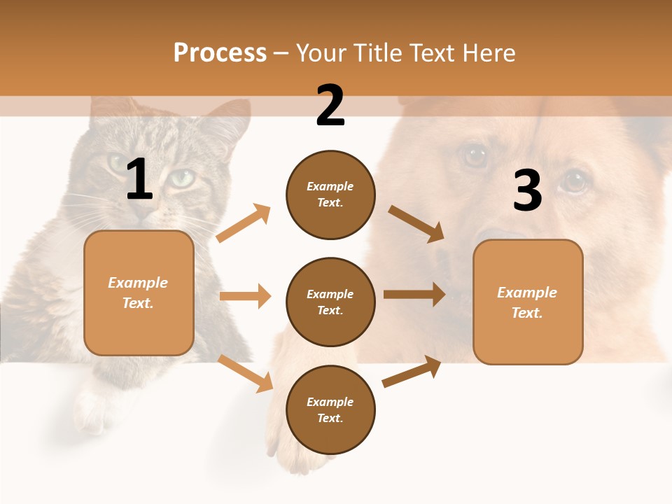 Mutt Banner Mixed PowerPoint Template