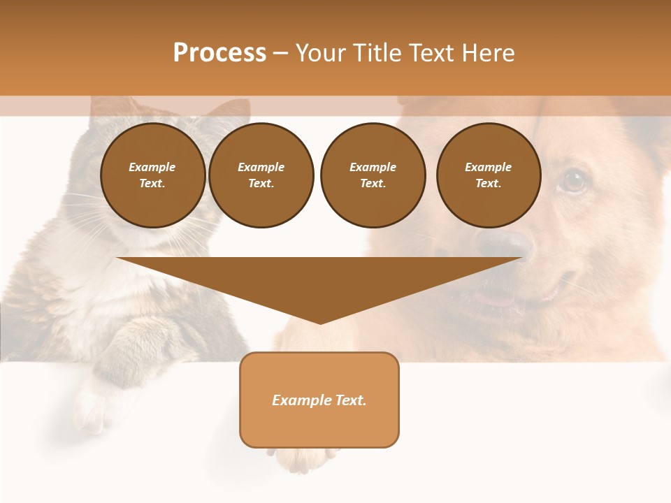 Mutt Banner Mixed PowerPoint Template