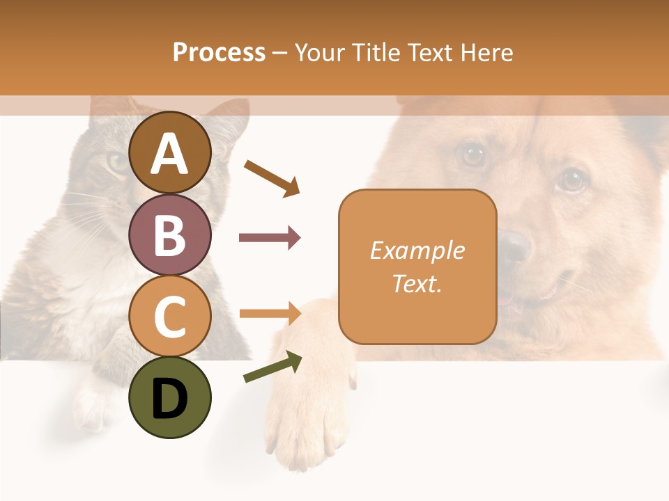 Mutt Banner Mixed PowerPoint Template