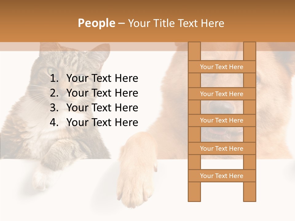 Mutt Banner Mixed PowerPoint Template