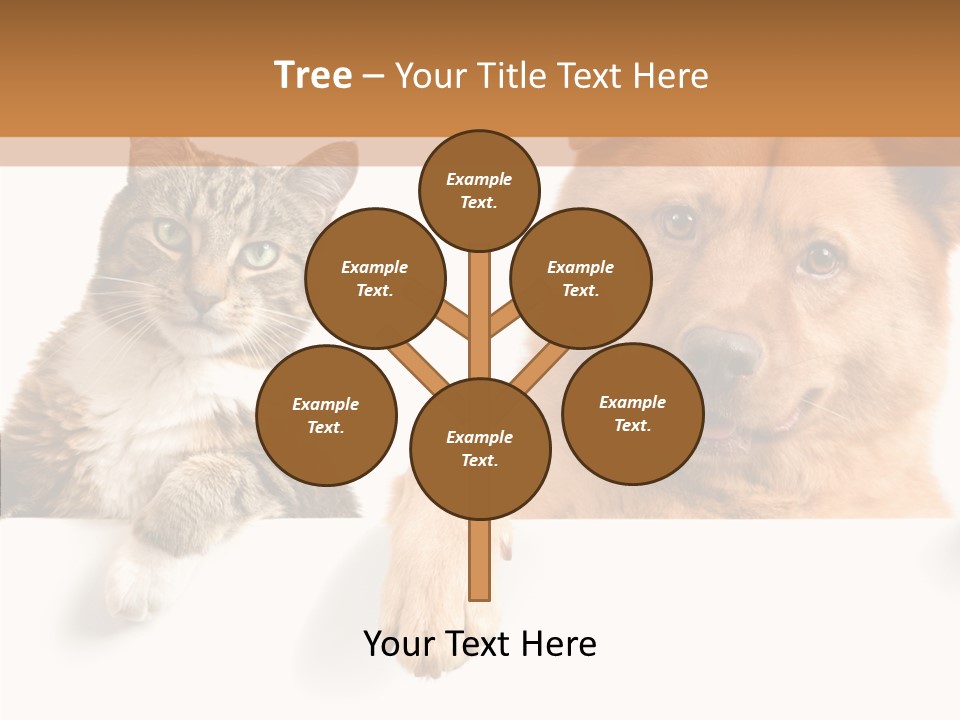 Mutt Banner Mixed PowerPoint Template
