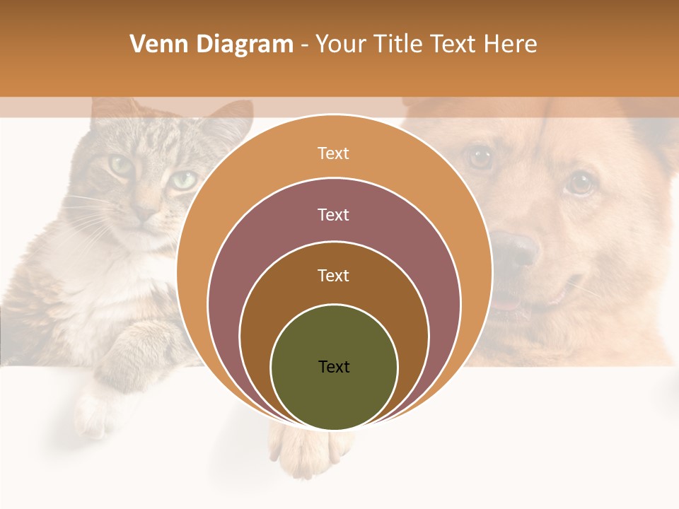 Mutt Banner Mixed PowerPoint Template