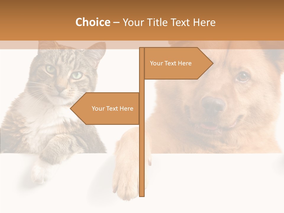 Mutt Banner Mixed PowerPoint Template