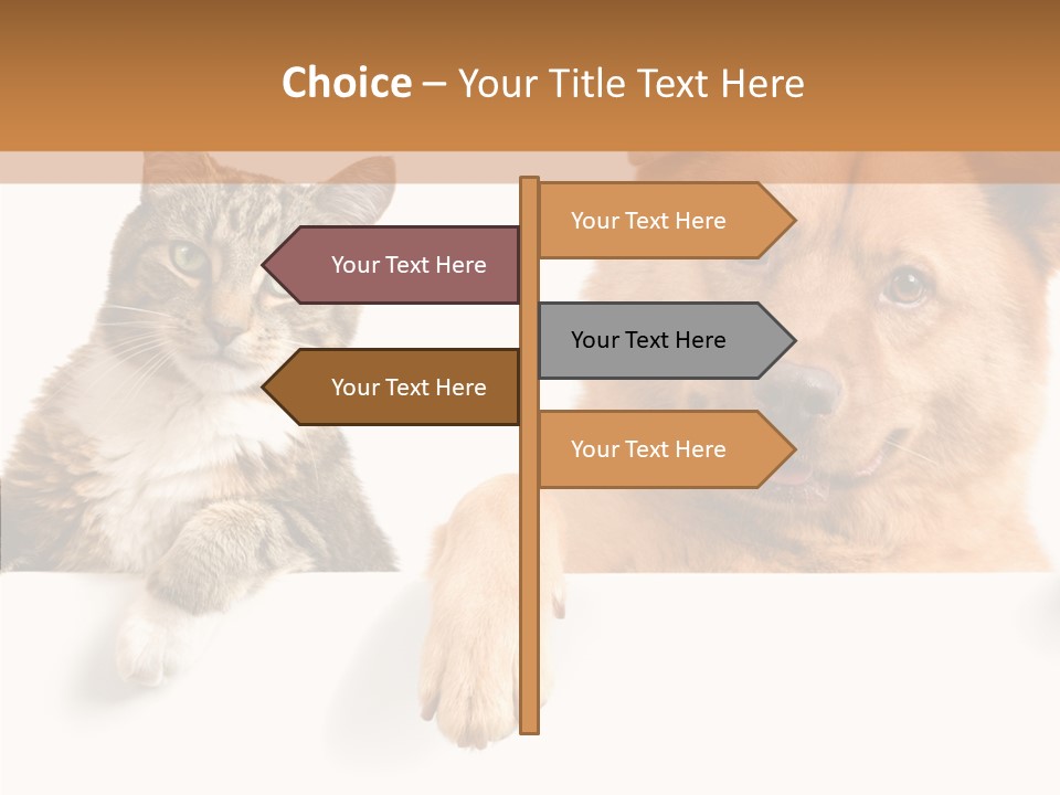 Mutt Banner Mixed PowerPoint Template