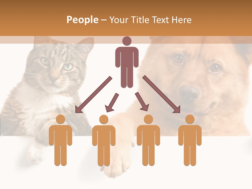 Mutt Banner Mixed PowerPoint Template