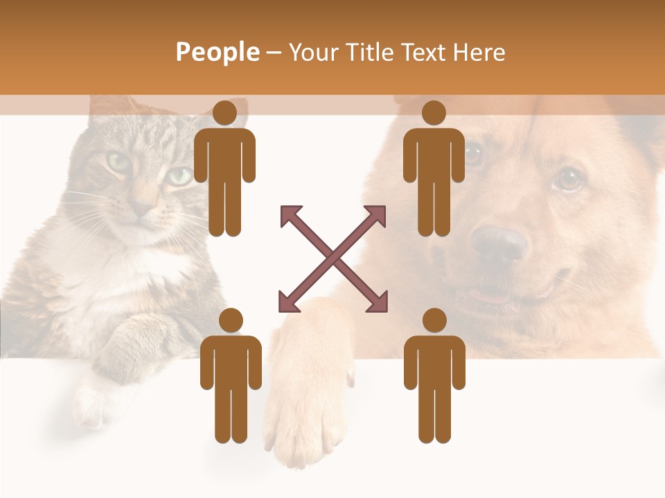 Mutt Banner Mixed PowerPoint Template