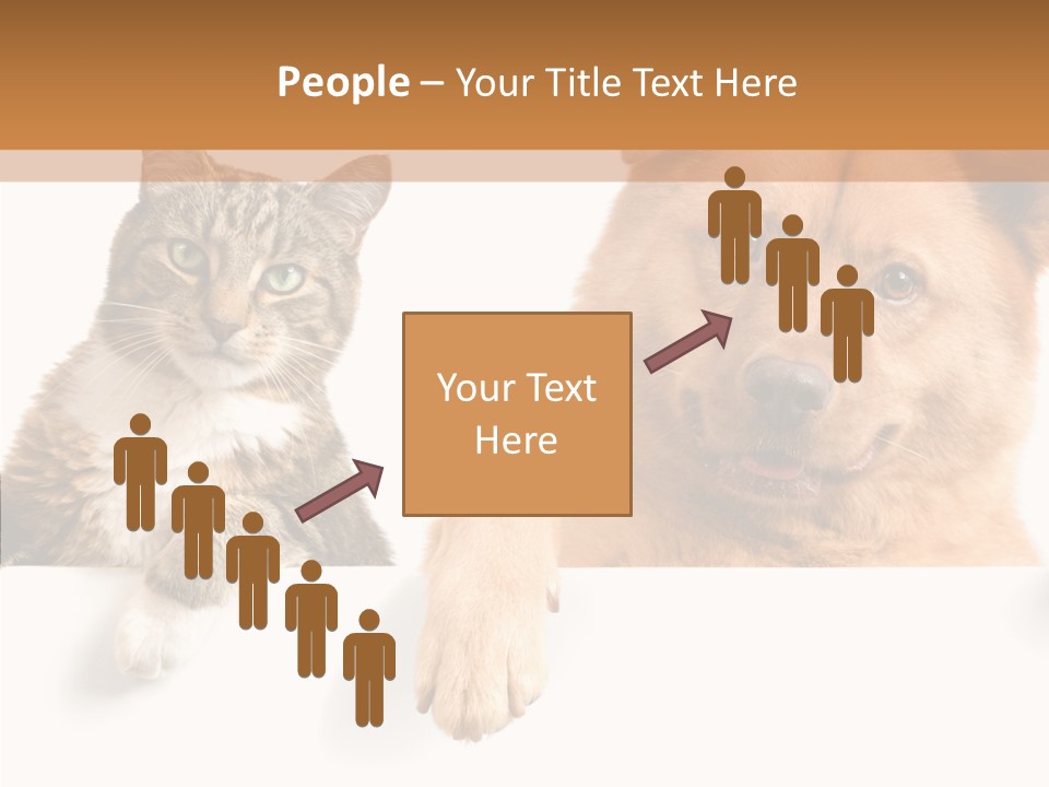 Mutt Banner Mixed PowerPoint Template