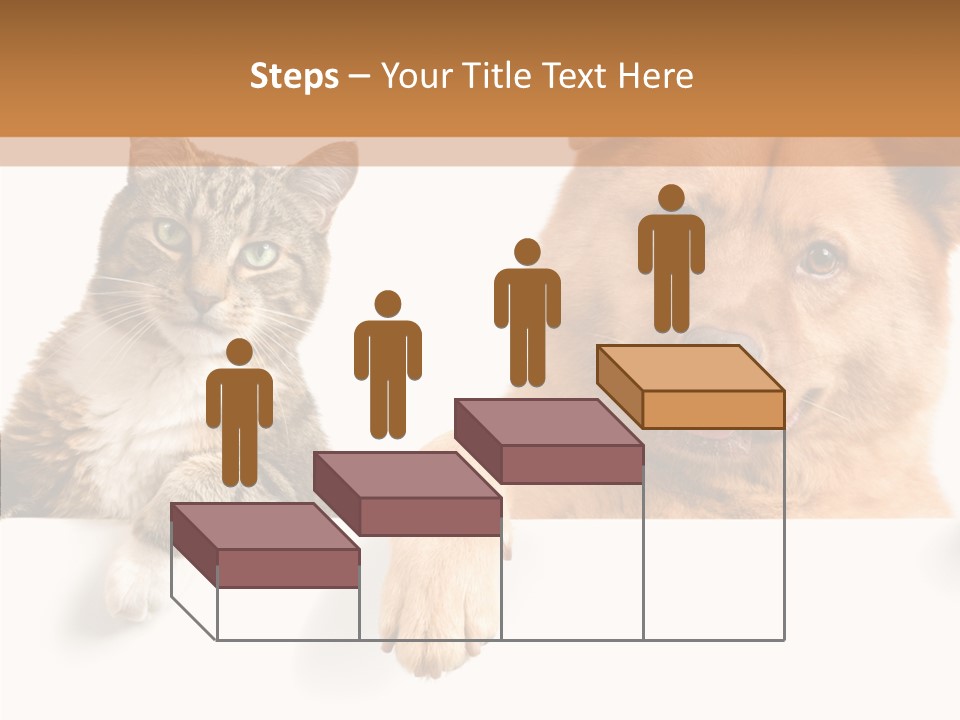 Mutt Banner Mixed PowerPoint Template