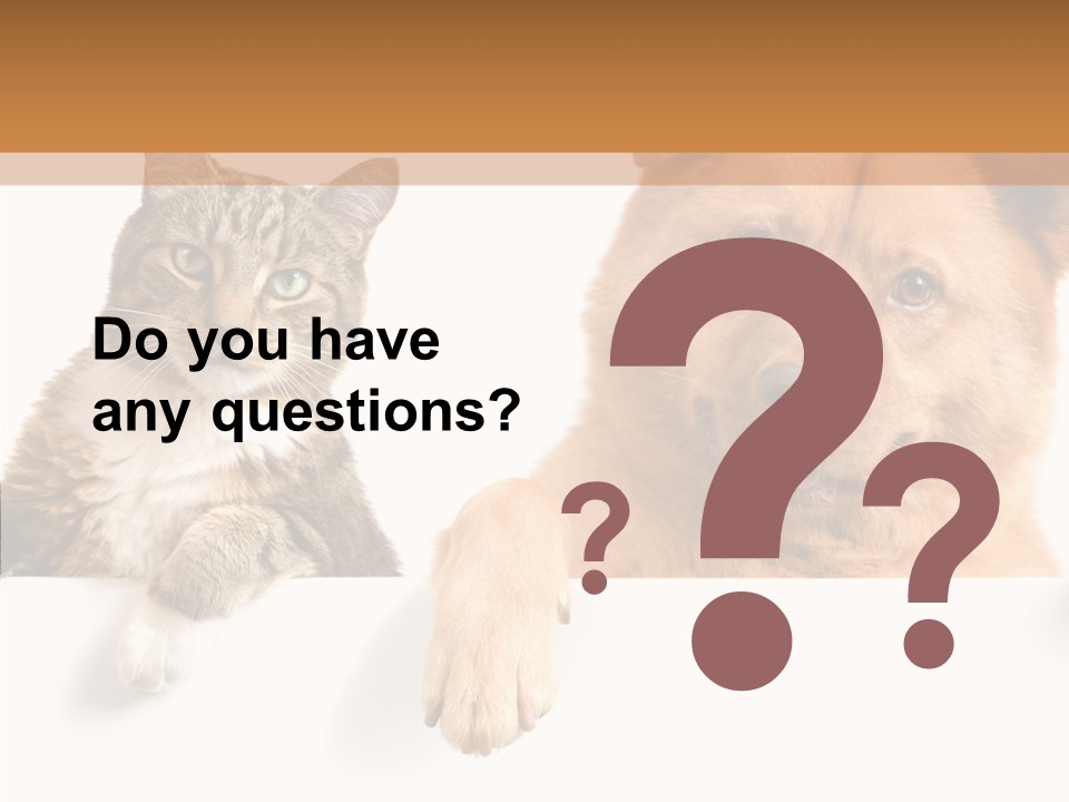 Mutt Banner Mixed PowerPoint Template