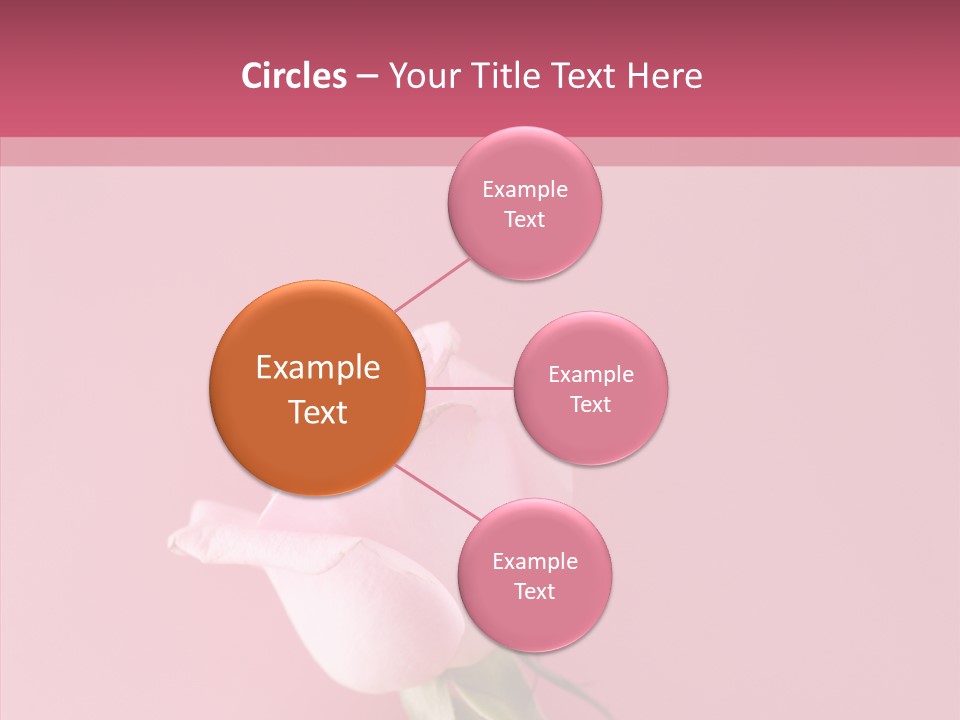 Anniversary Blossom Human PowerPoint Template